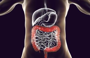 visualisation of the intestine in the human body